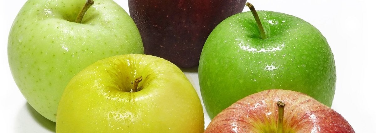 Universal Design for Learning Brings Accessibility to Early Childhood