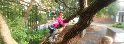 Child climbing a tree