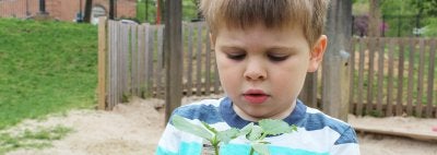 Child looking at plant