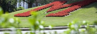 M Circle on campus