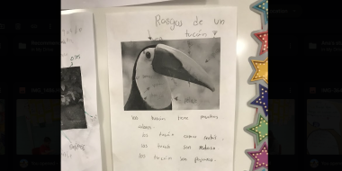tuqui