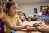 Center for Young Children (CYC) kindergartener Chen-shih Lee holds a 20-year-old tarantula during a trip to the Insect Zoo, as teacher Cecilia Fowler looks on the background.