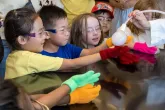Center for Young Children (CYC) students don fuzzy gloves to hold bubbles of carbon dioxide gas as part of a lesson on states of matter.