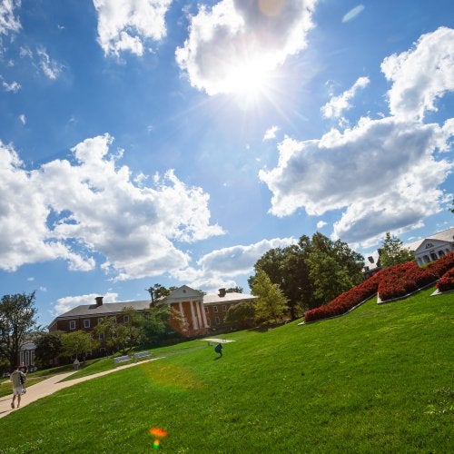 The "M" on the UMD campus blooms with red flowers, with a blue sky and white clouds above.