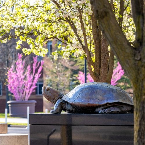 Testudo statue with redbud trees in the background
