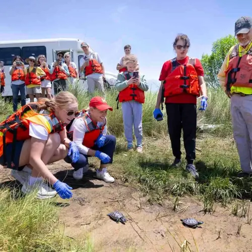 Crouching at the water’s edge on Poplar Island, Provost and Senior Vice President Jennifer King Rice (center) and music education major Lorelai Loyd ’28 release two terrapin hatchlings raised at UMD, Tess and Tudo, into the Chesapeake Bay., while a group of students looks on.