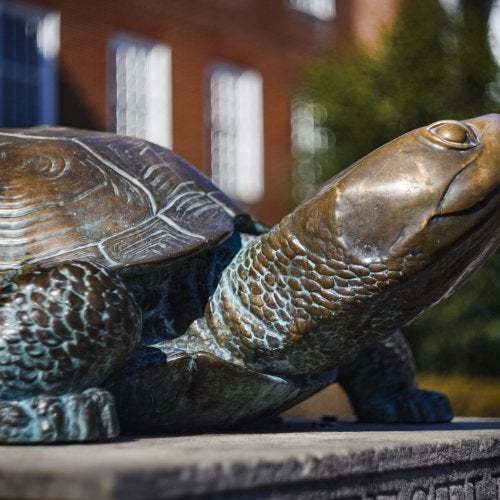 Side view of a Testudo statue with a brick building in the background.