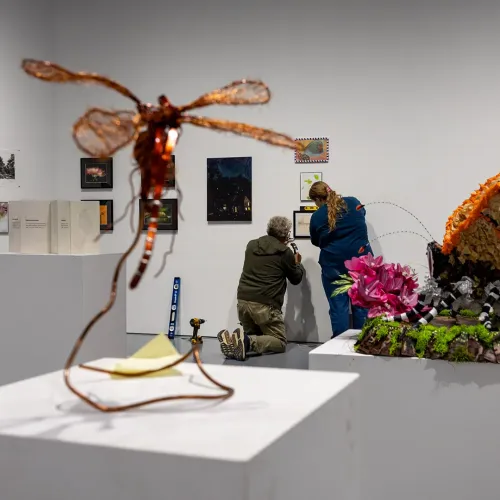 Jerry Romanow and Olivia Marinucci '30, right, hang pieces for "Another Look, Another World," an exhibition featuring artwork based on six insects found on Maryland's list of rare, threatened and endangered animals.
