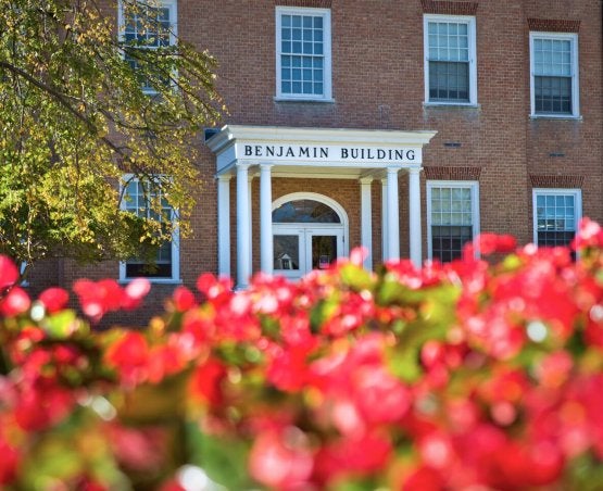 BenjaminBuilding_Flowers