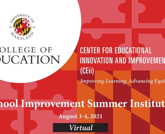 CEII Summer Institute flyer