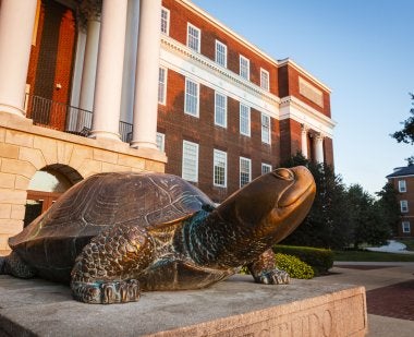 Testudo at sunrise