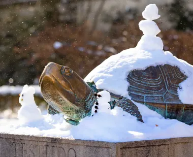 Testudo statue covered in snow, with a tiny snowman on its back