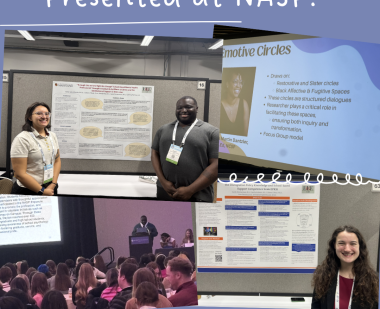 Poster presentations at NASP