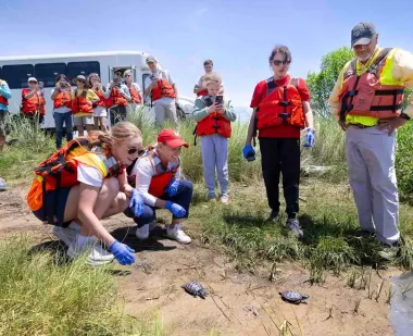 Crouching at the water’s edge on Poplar Island, Provost and Senior Vice President Jennifer King Rice (center) and music education major Lorelai Loyd ’28 release two terrapin hatchlings raised at UMD, Tess and Tudo, into the Chesapeake Bay., while a group of students looks on.
