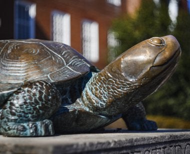 Side view of a Testudo statue with a brick building in the background.