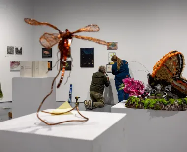 Jerry Romanow and Olivia Marinucci '30, right, hang pieces for "Another Look, Another World," an exhibition featuring artwork based on six insects found on Maryland's list of rare, threatened and endangered animals.