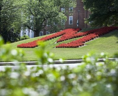 M Circle on campus