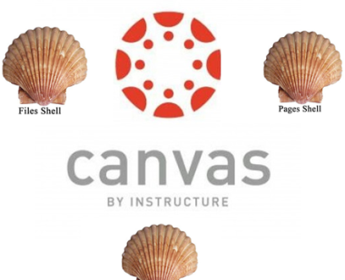 Canvas shells