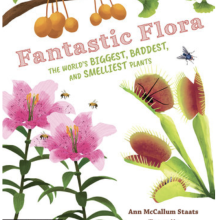 Fantastic Flora 