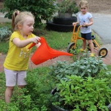 Watering plants