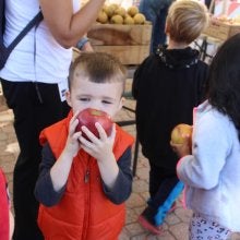 Child at the farmers market