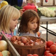 Children at the farmers market