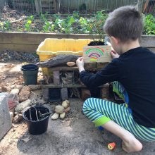 Child working on a bug hotel