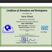 Professional development certificate