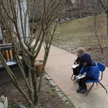 Children drawing trees