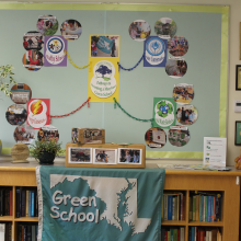 Maryland Green School Award display