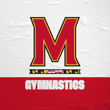 M Gymnastics