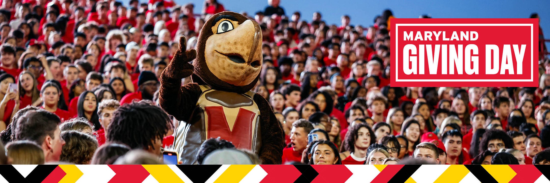 Testudo in the football stadium 