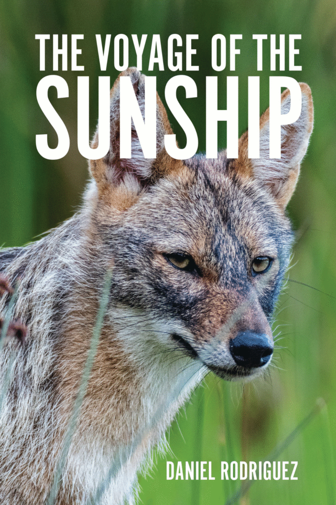 The Voyage of the Sunship