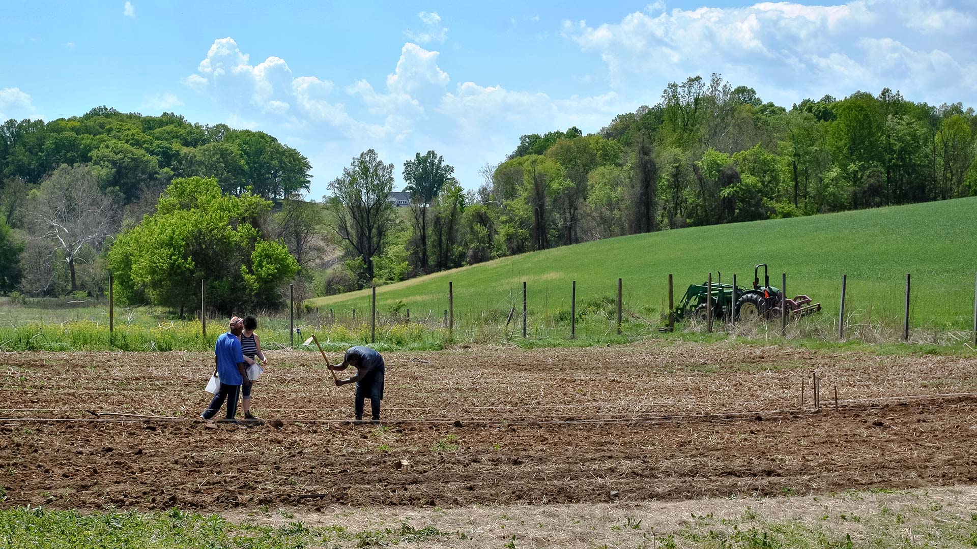 Volunteers with the nonprofit AfriThrive (founded by Truphena Choti Ph.D. '09 and her husband, Charles) plant cowpea, corn and bean seeds in the organization's 1-acre field at Madison Fields Farm.