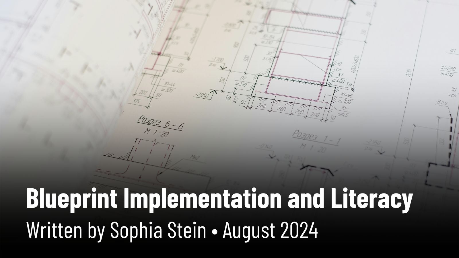 Blueprint Implementation and Literacy. Written by Sophia Stein, August 2024