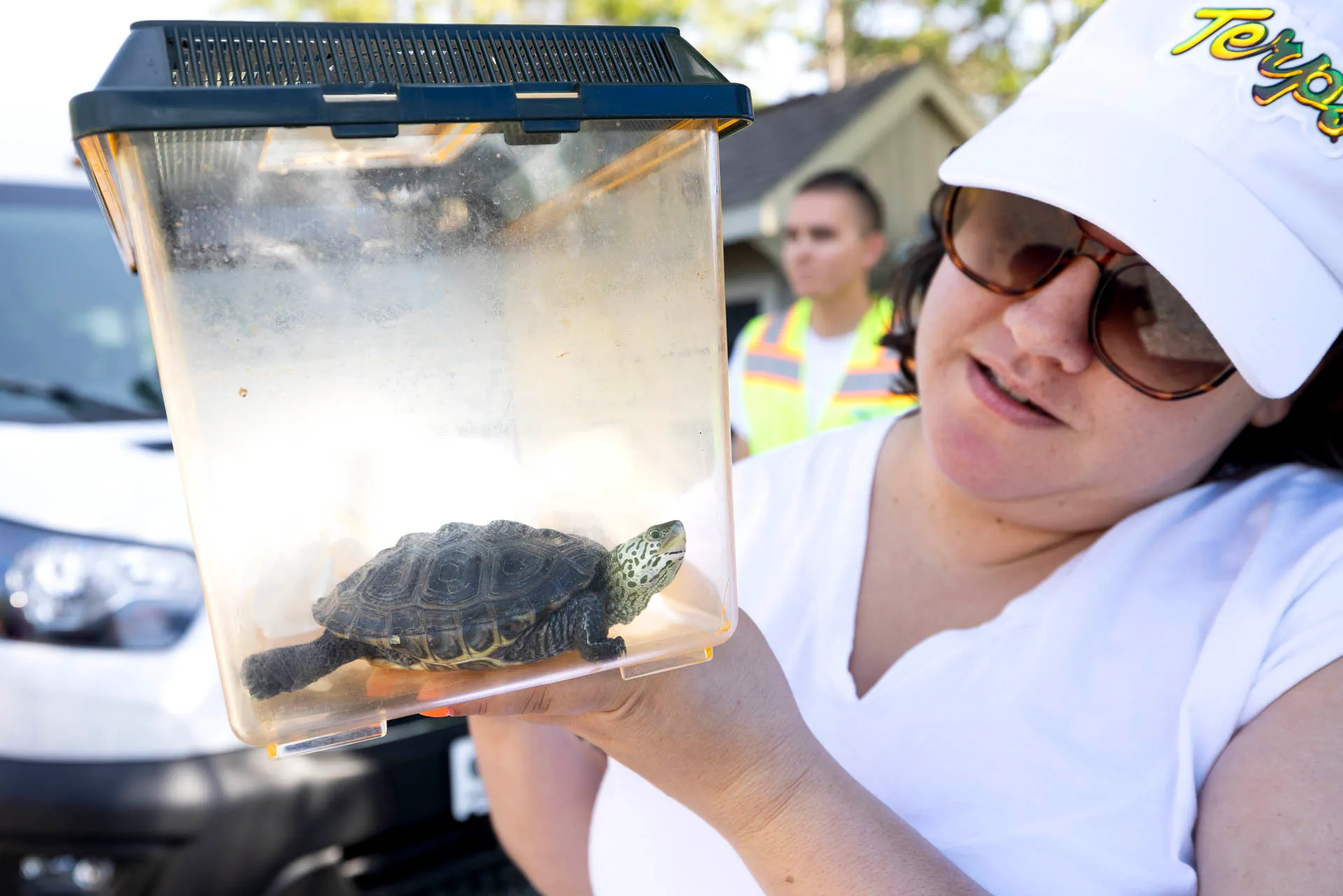 Education doctoral student Victoria Fernandez holds Tess, a baby diamondback terrapin, before release.