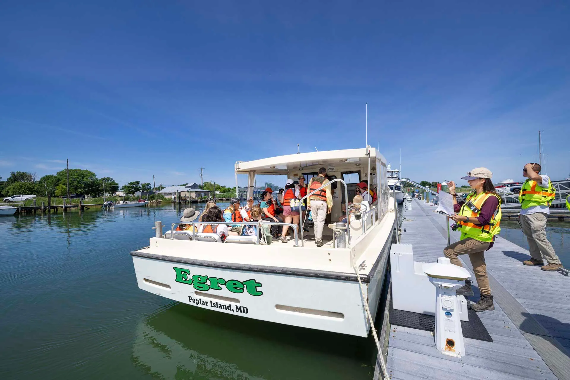 More than a dozen Terps board a boat to Poplar Island to release baby diamondback terrapins.