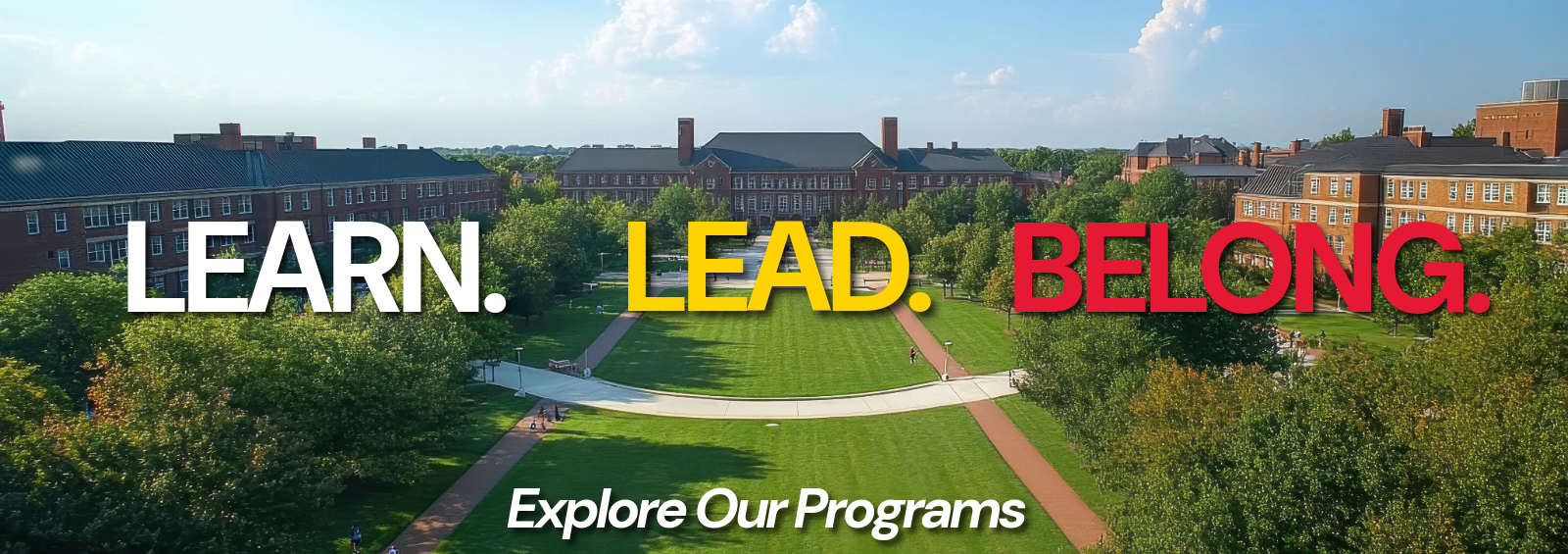 CEii Professional Learning and Leadership Development