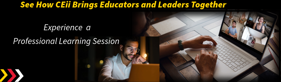 CEii Webinar