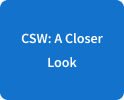 CSW: A Closer Look