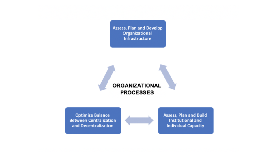 CDIHE IECI Organizational Processes